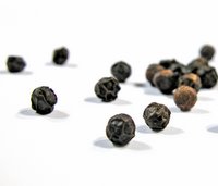 Black Pepper Essential Oil