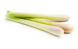 Lemongrass essential oil